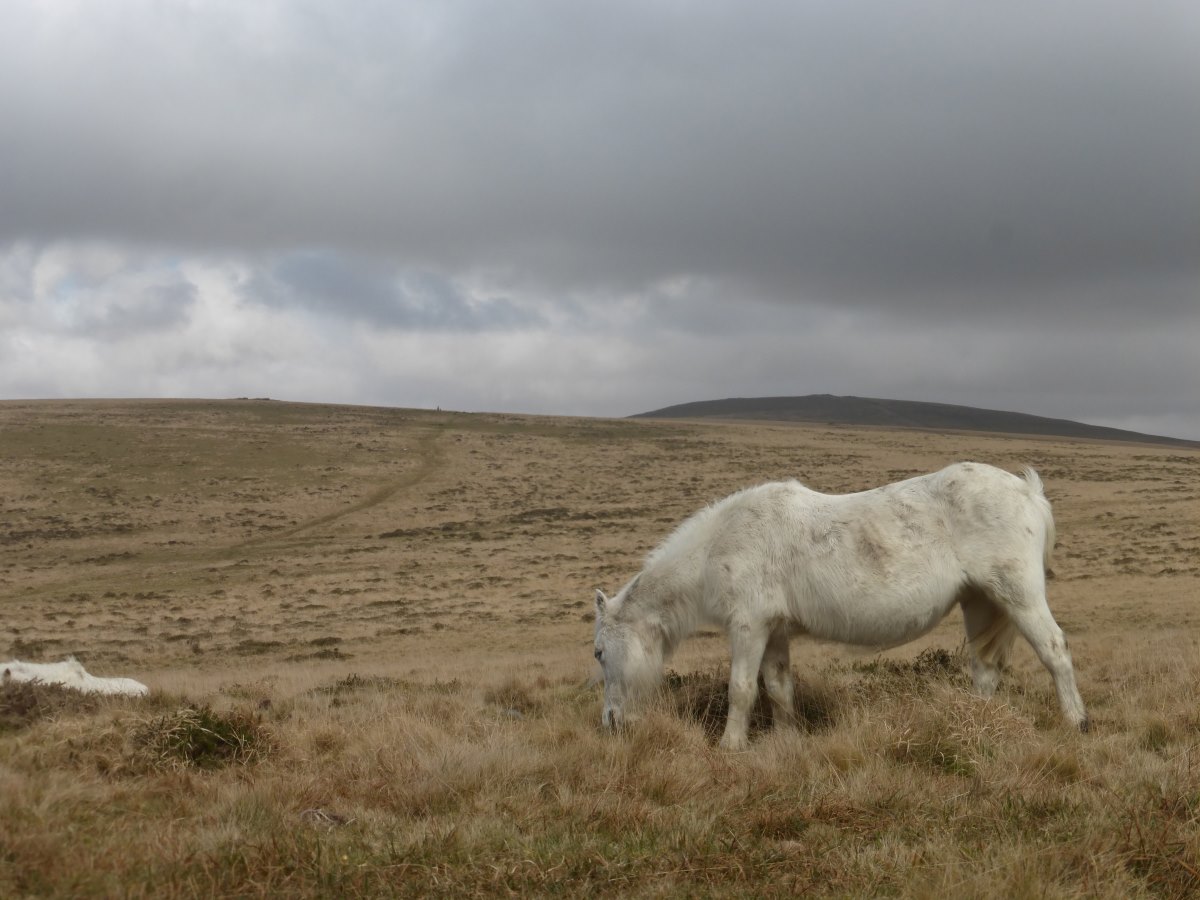 Two Moors Way