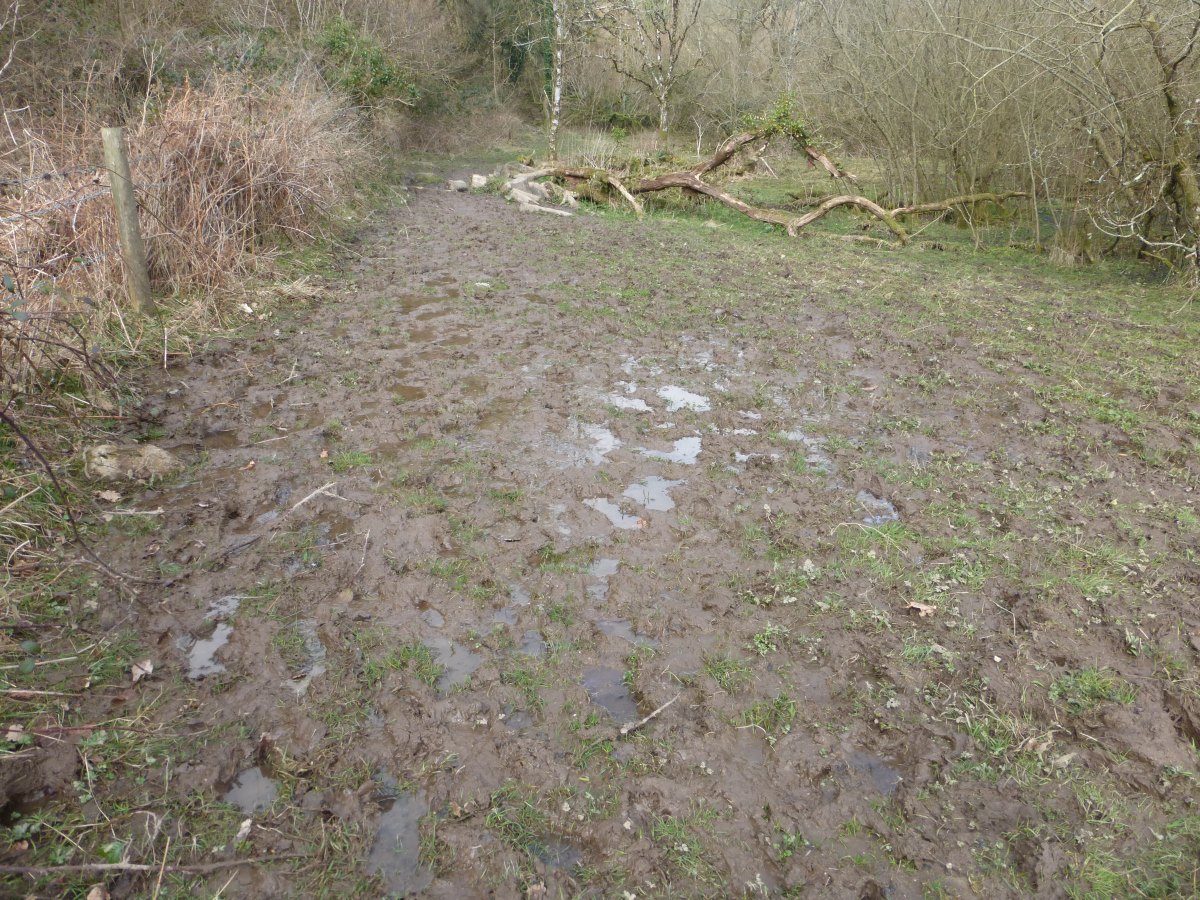 Two Moors Way