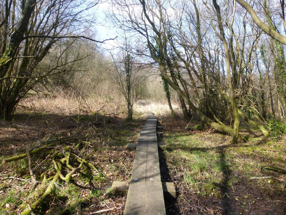 Two Moors Way