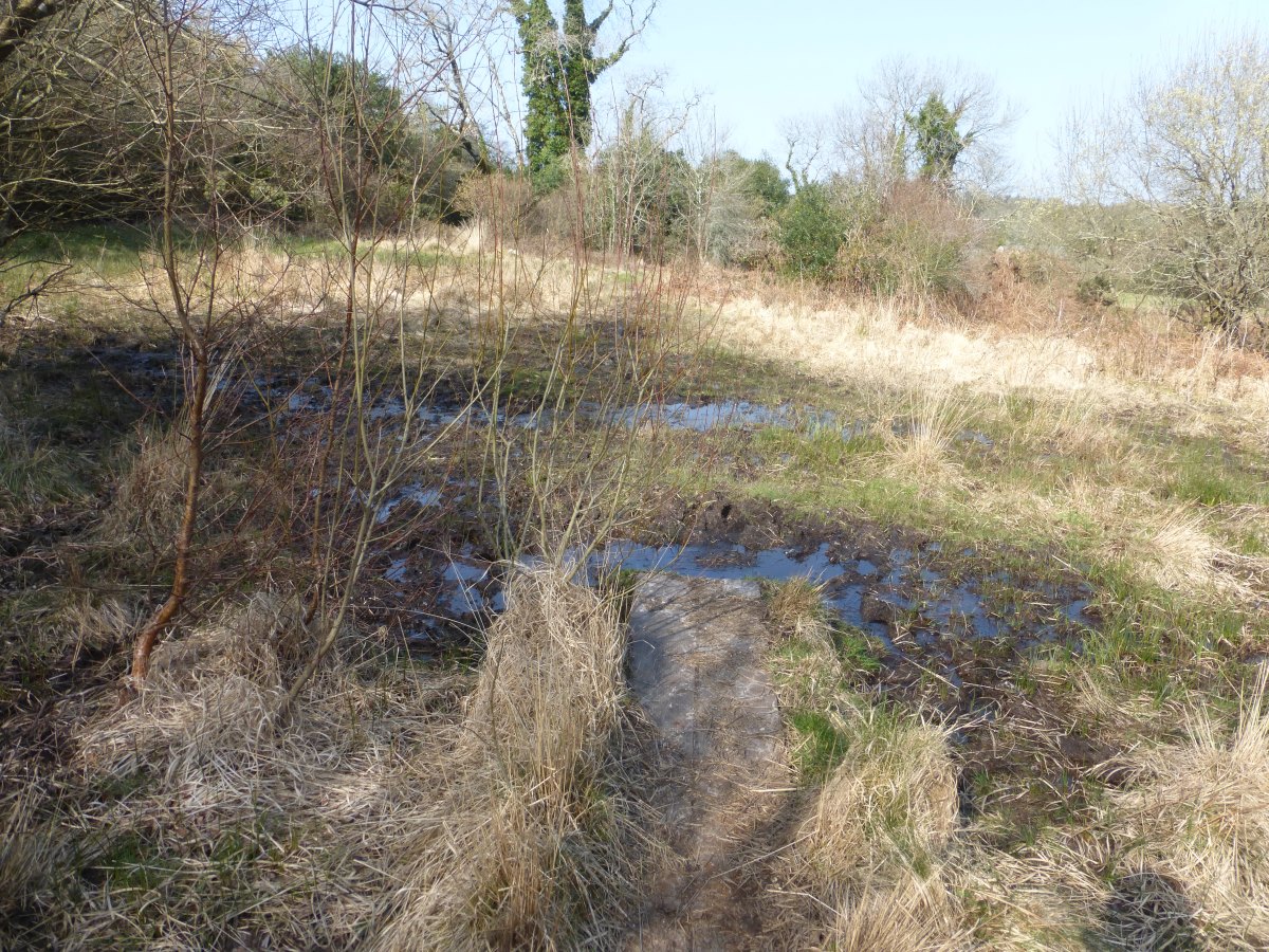 Two Moors Way
