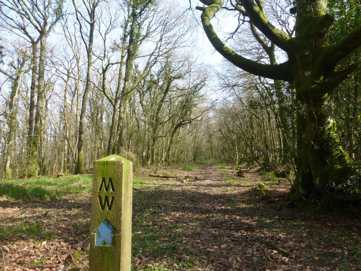 Two Moors Way