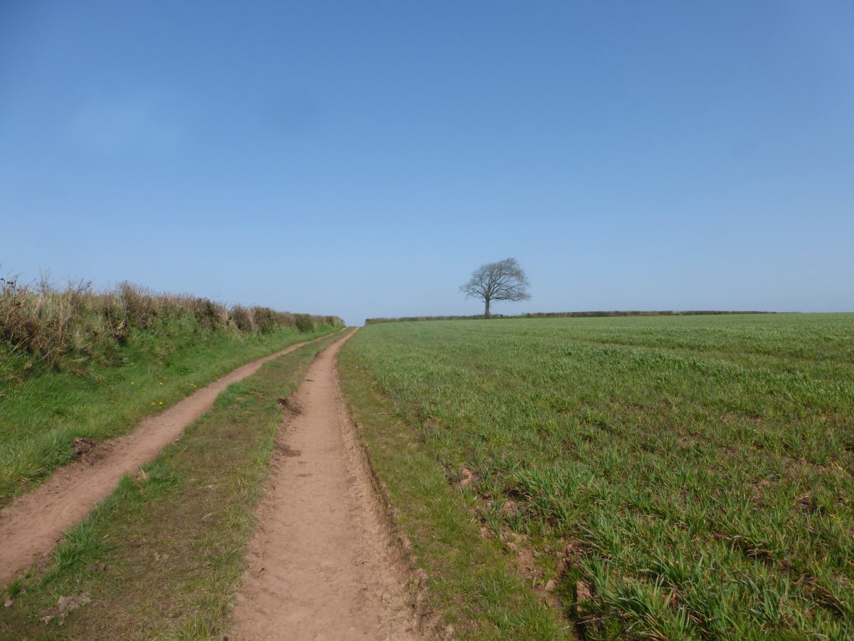 Two Moors Way