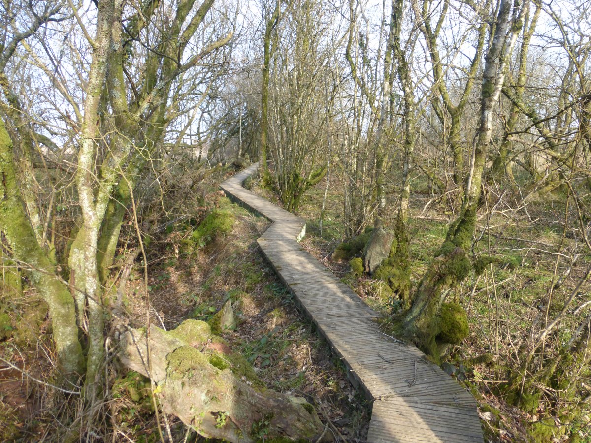 Two Moors Way