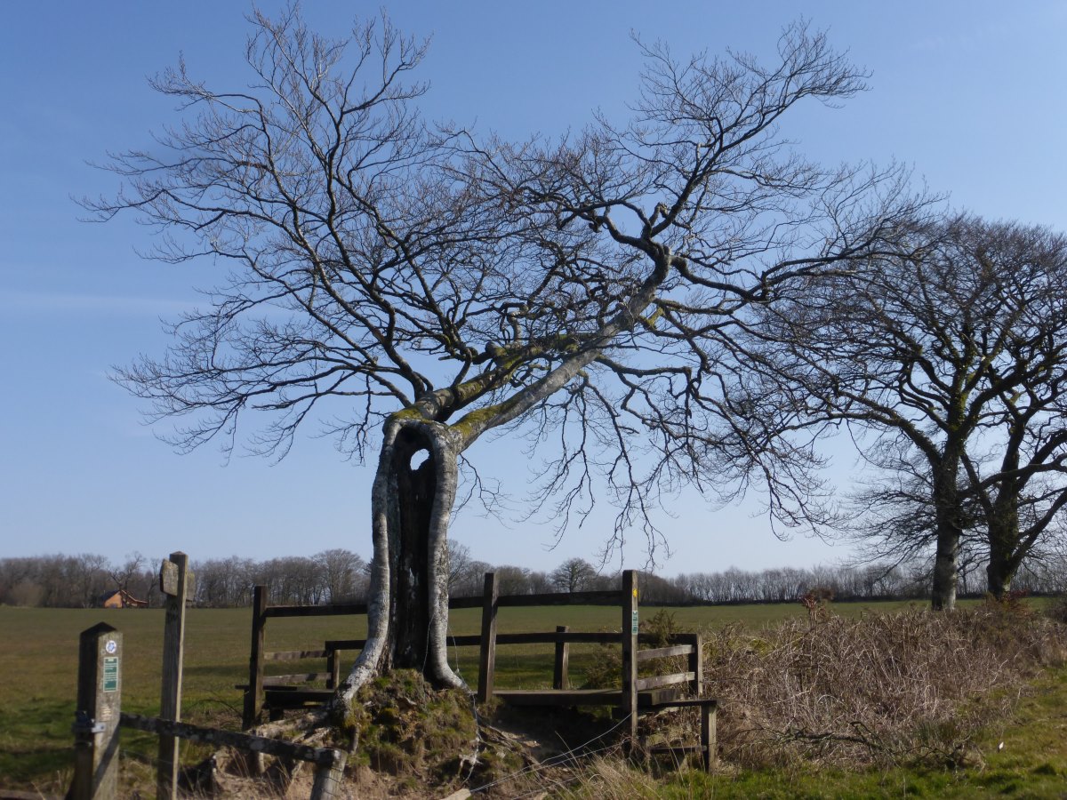 Two Moors Way