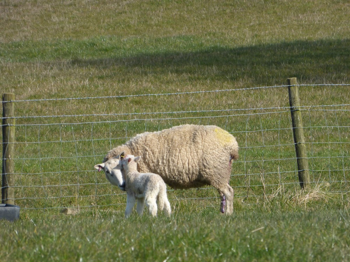 Two Moors Way
