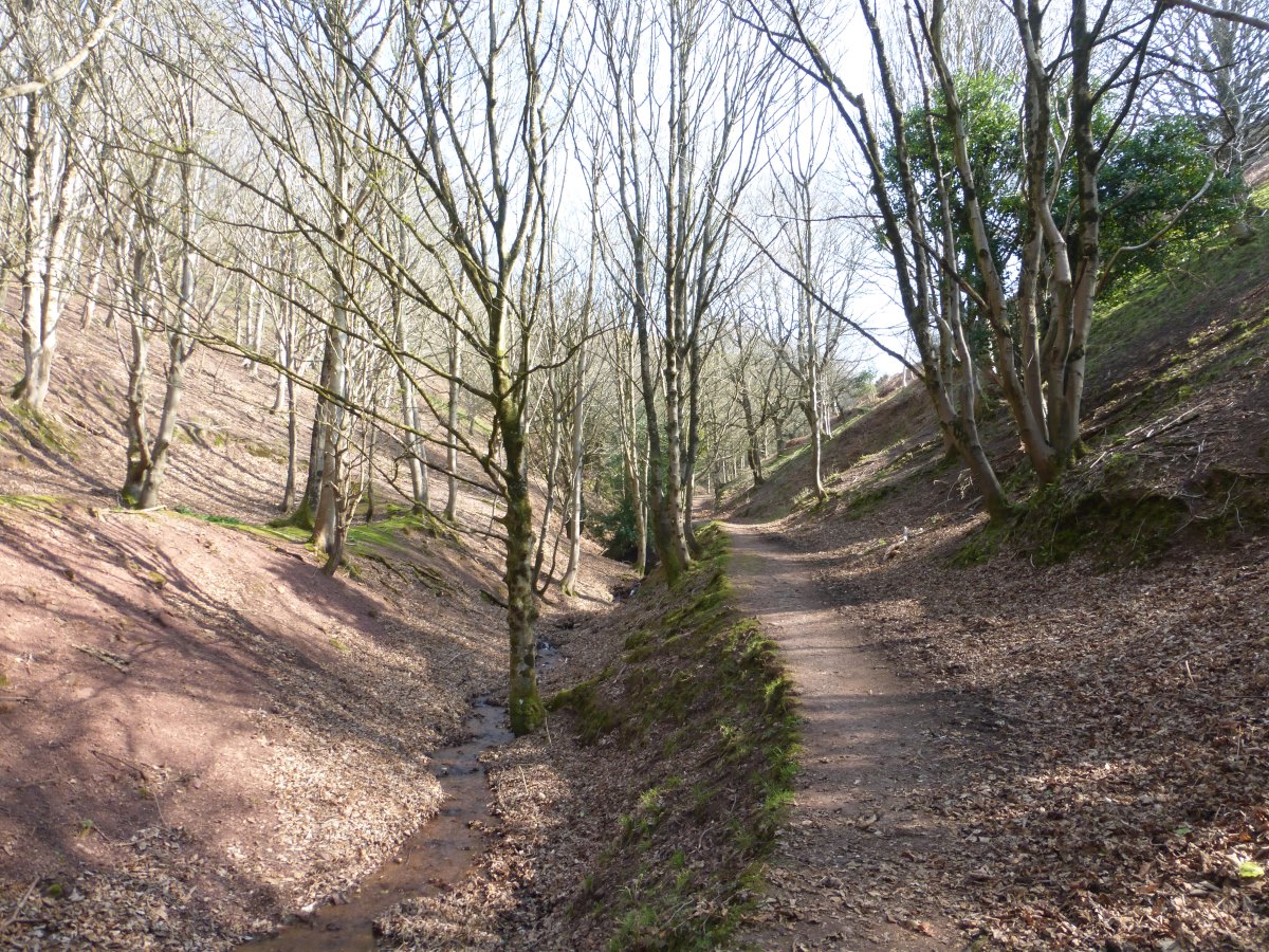 Macmillan Way West