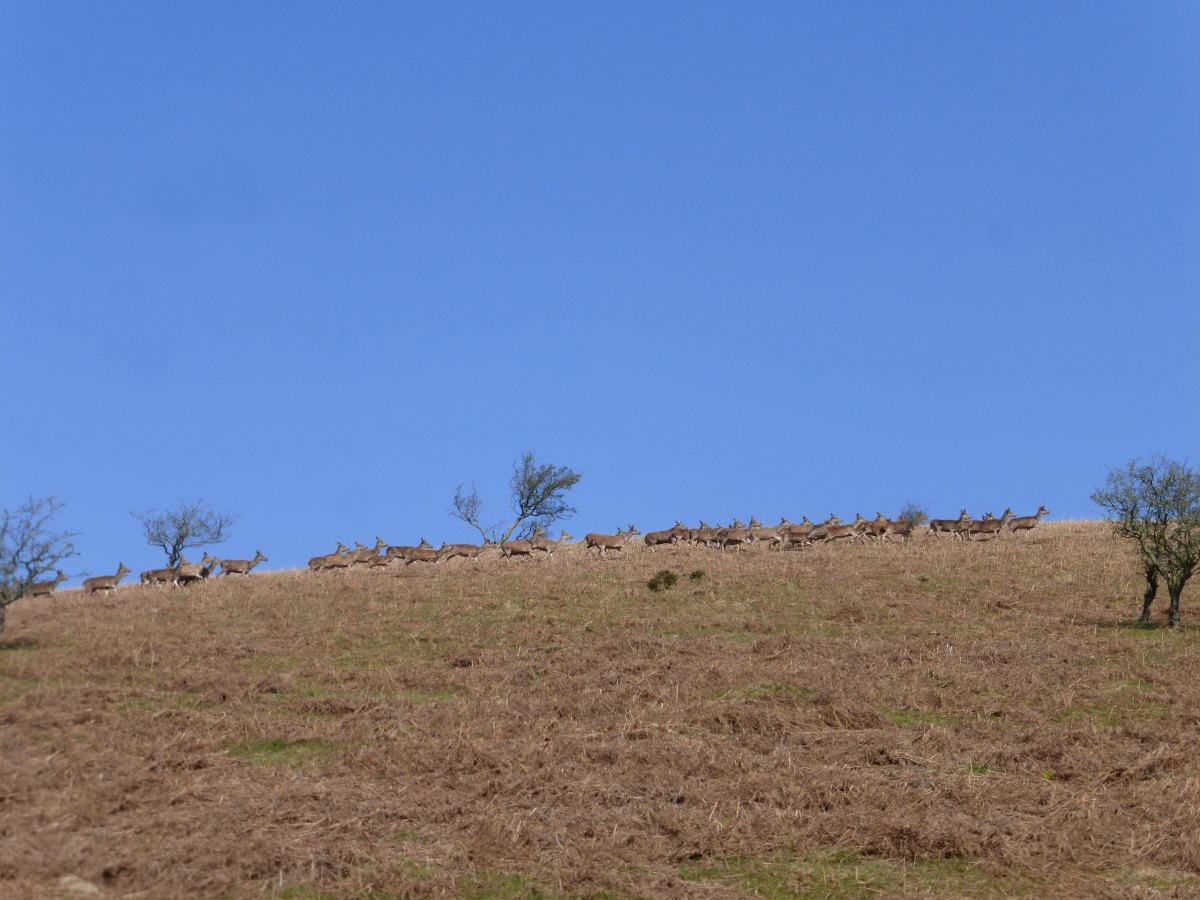 Macmillan Way West