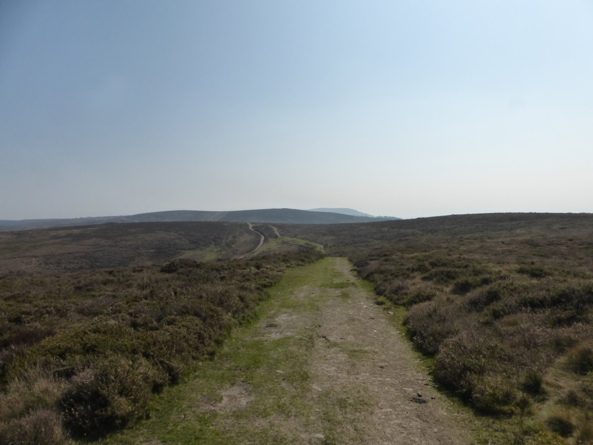 Macmillan Way West