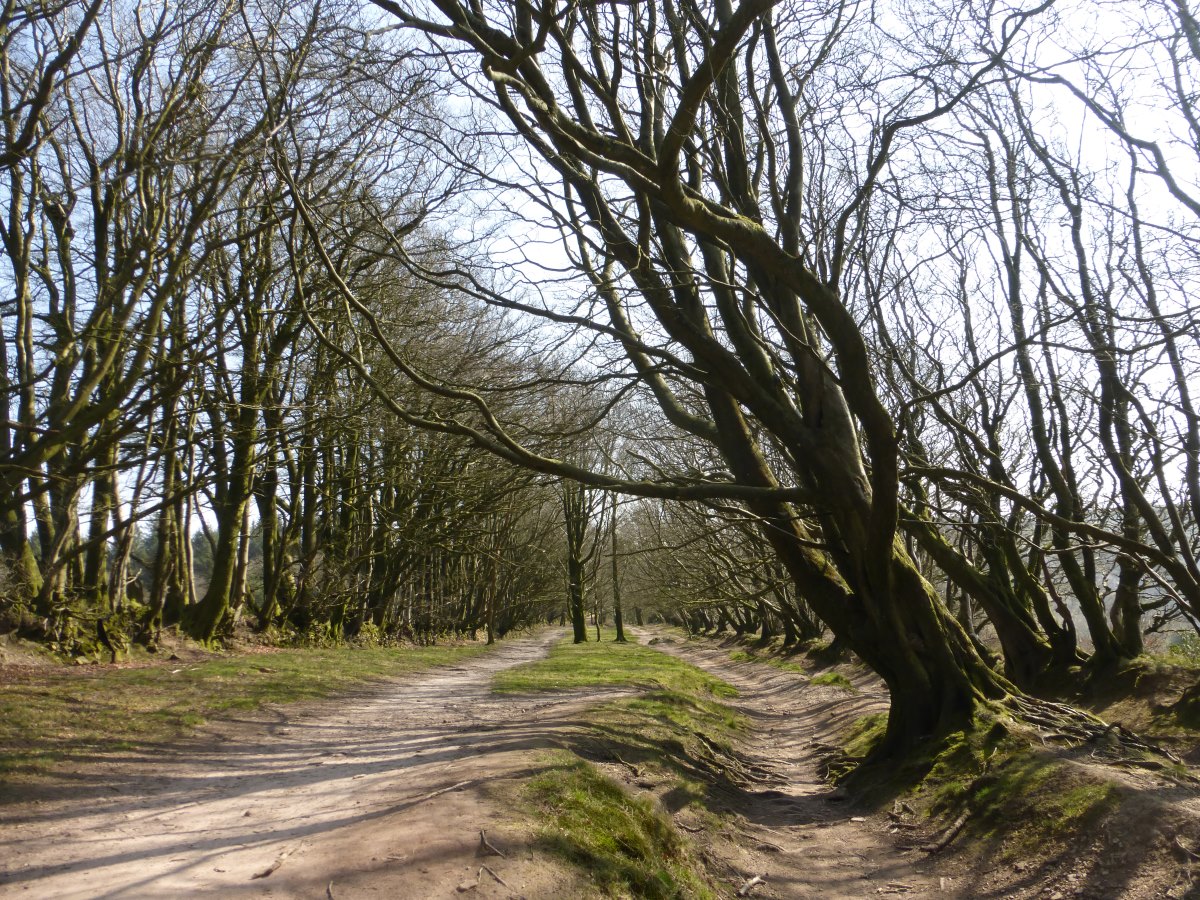 Macmillan Way West