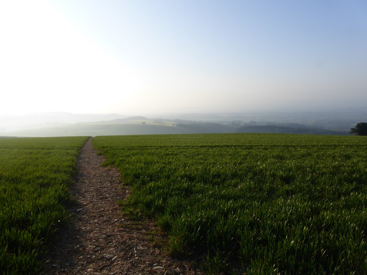 Macmillan Way West
