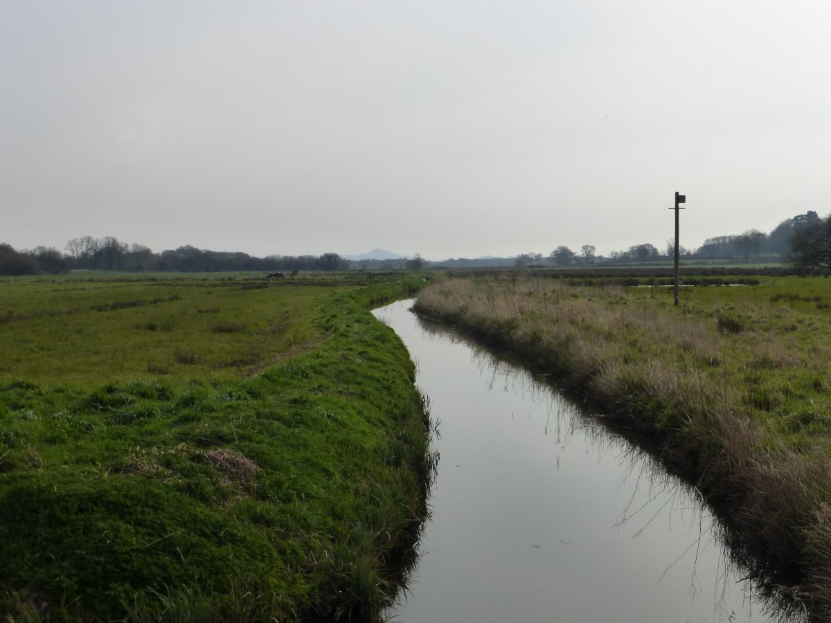 Somerset