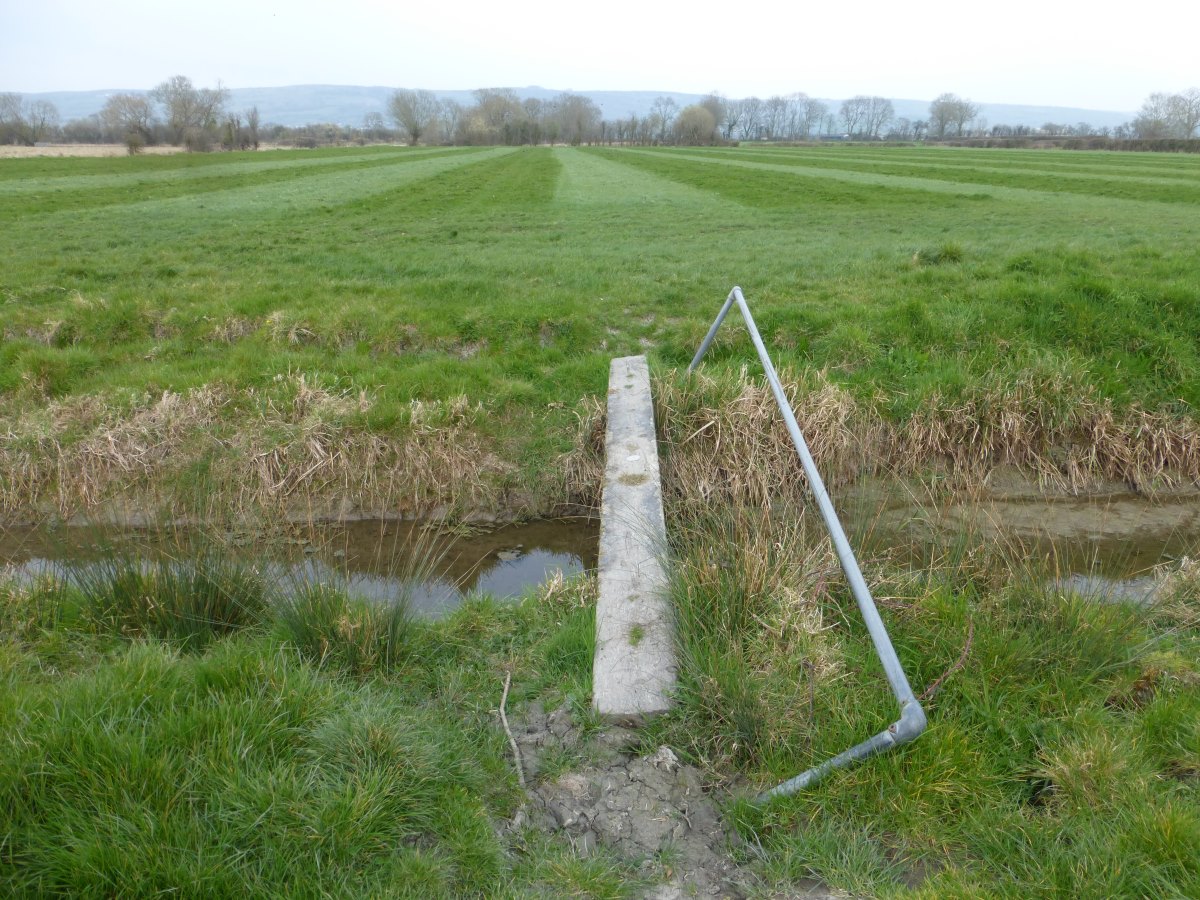 Somerset