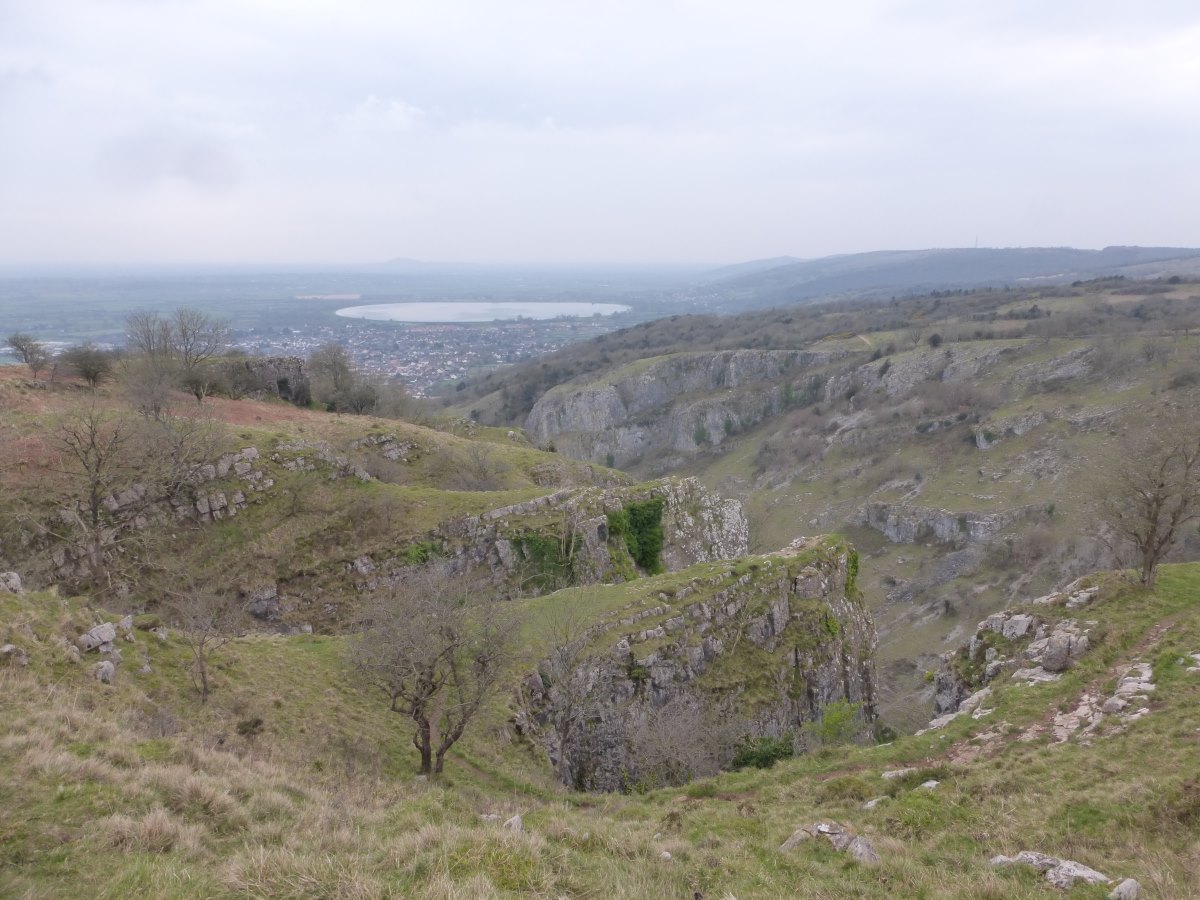 Somerset