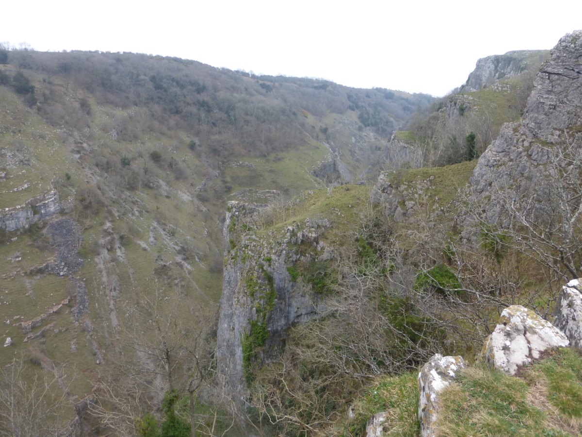 Somerset
