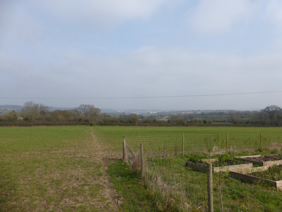 Monarch's Way