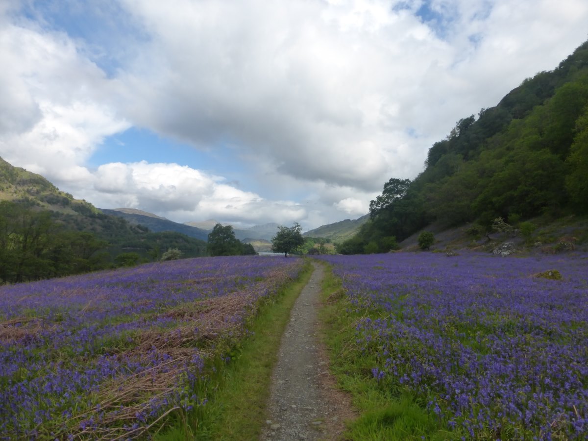 West Highland Way