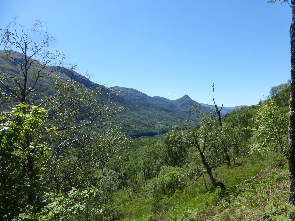 West Highland Way
