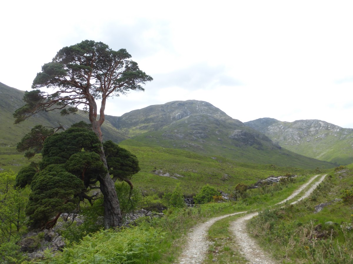 Cape Wrath Trail