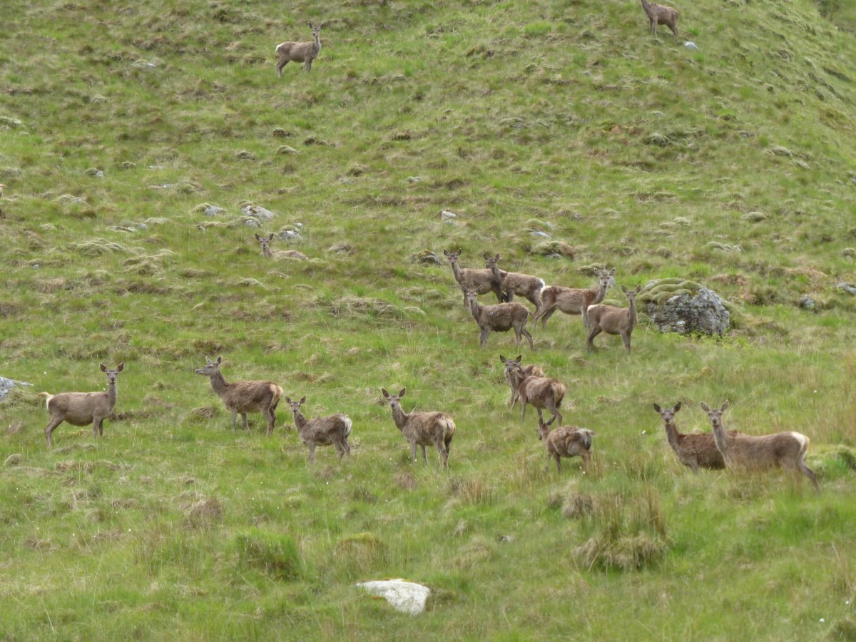 Cape Wrath Trail