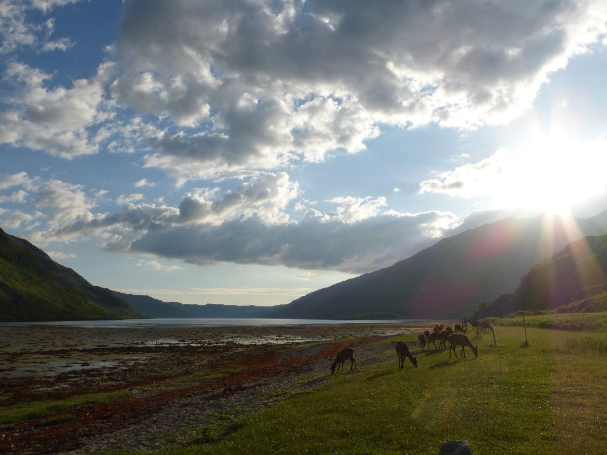 Cape Wrath Trail