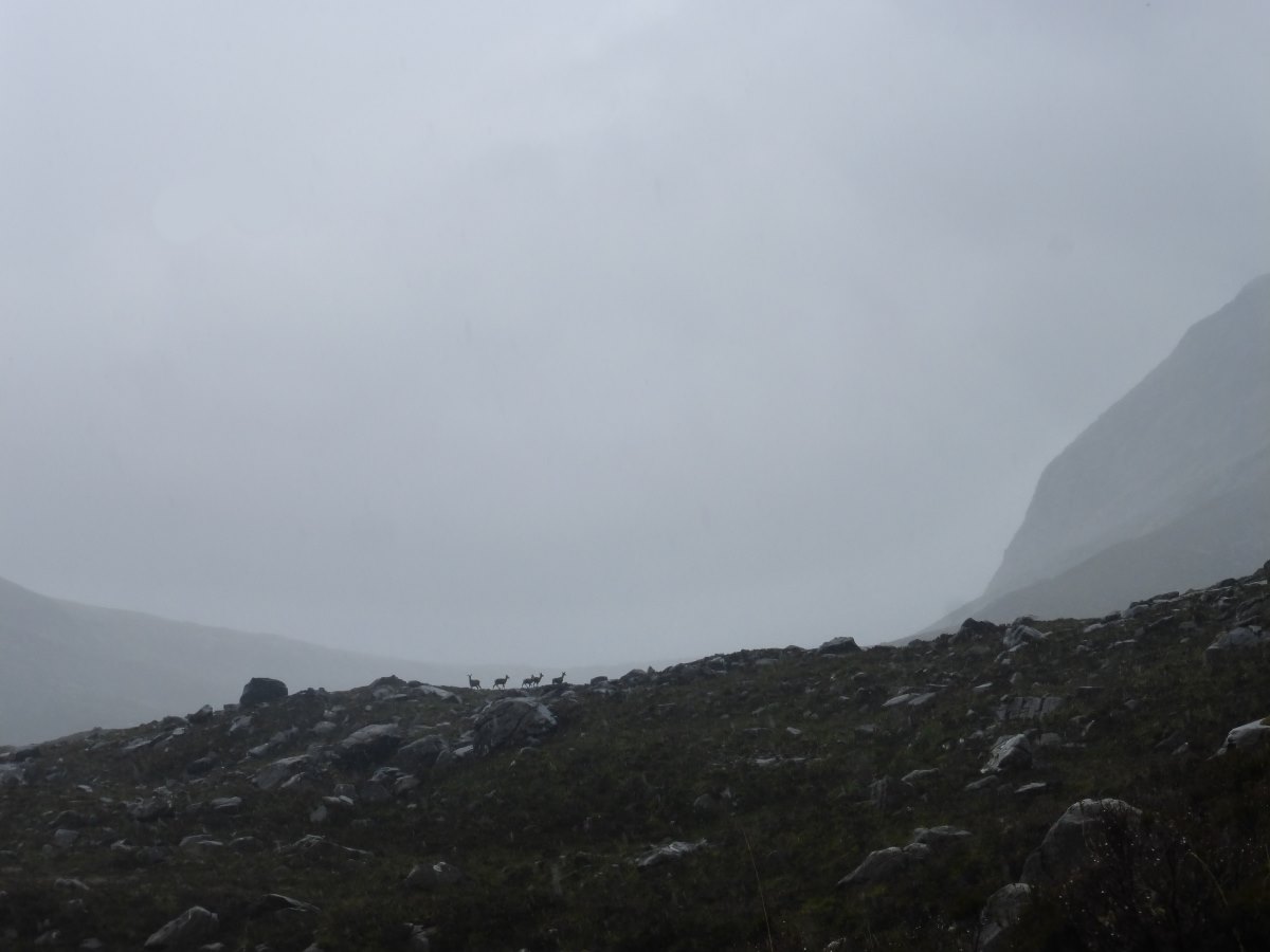 Cape Wrath Trail