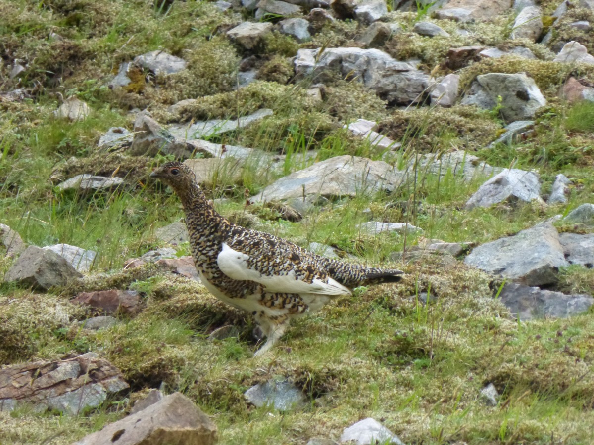 Cape Wrath Trail