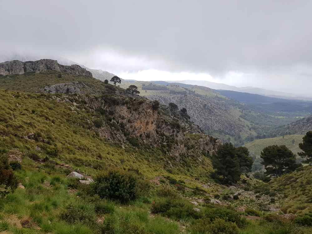 GR221