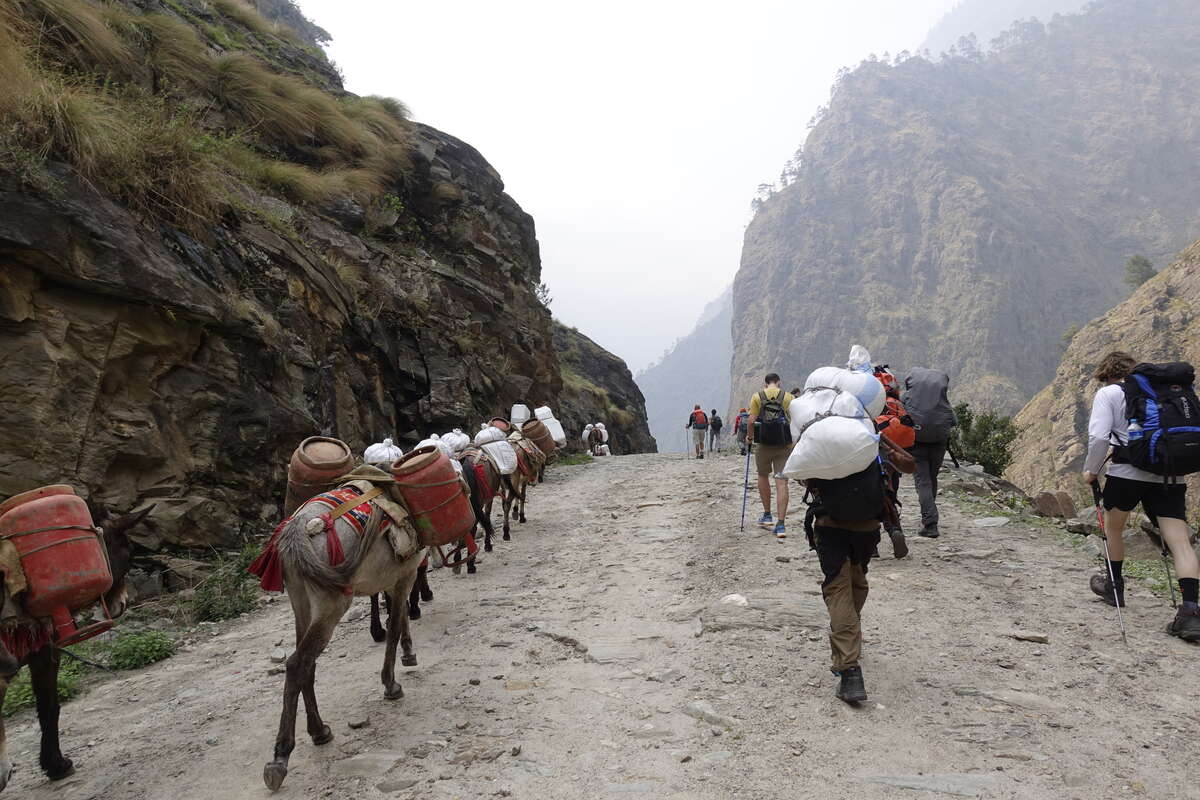 manaslu circuit