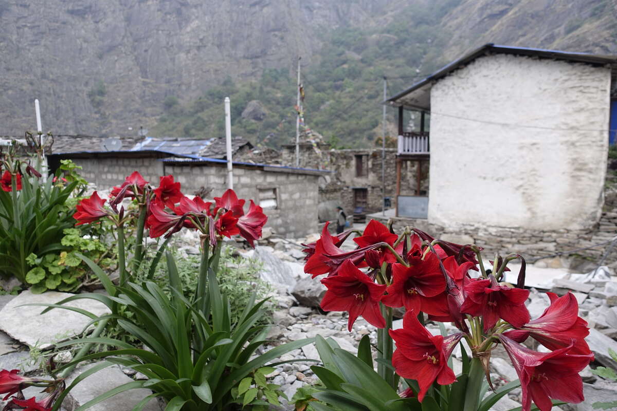 manaslu circuit