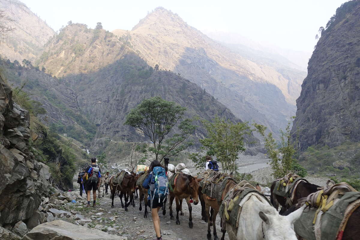 manaslu circuit