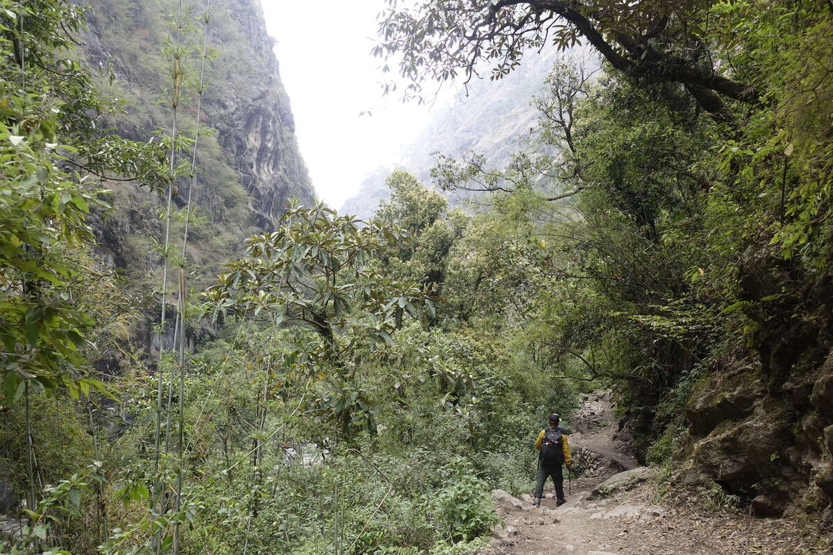 manaslu circuit