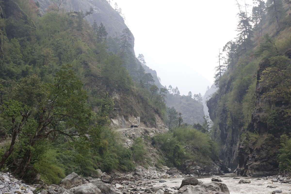 manaslu circuit