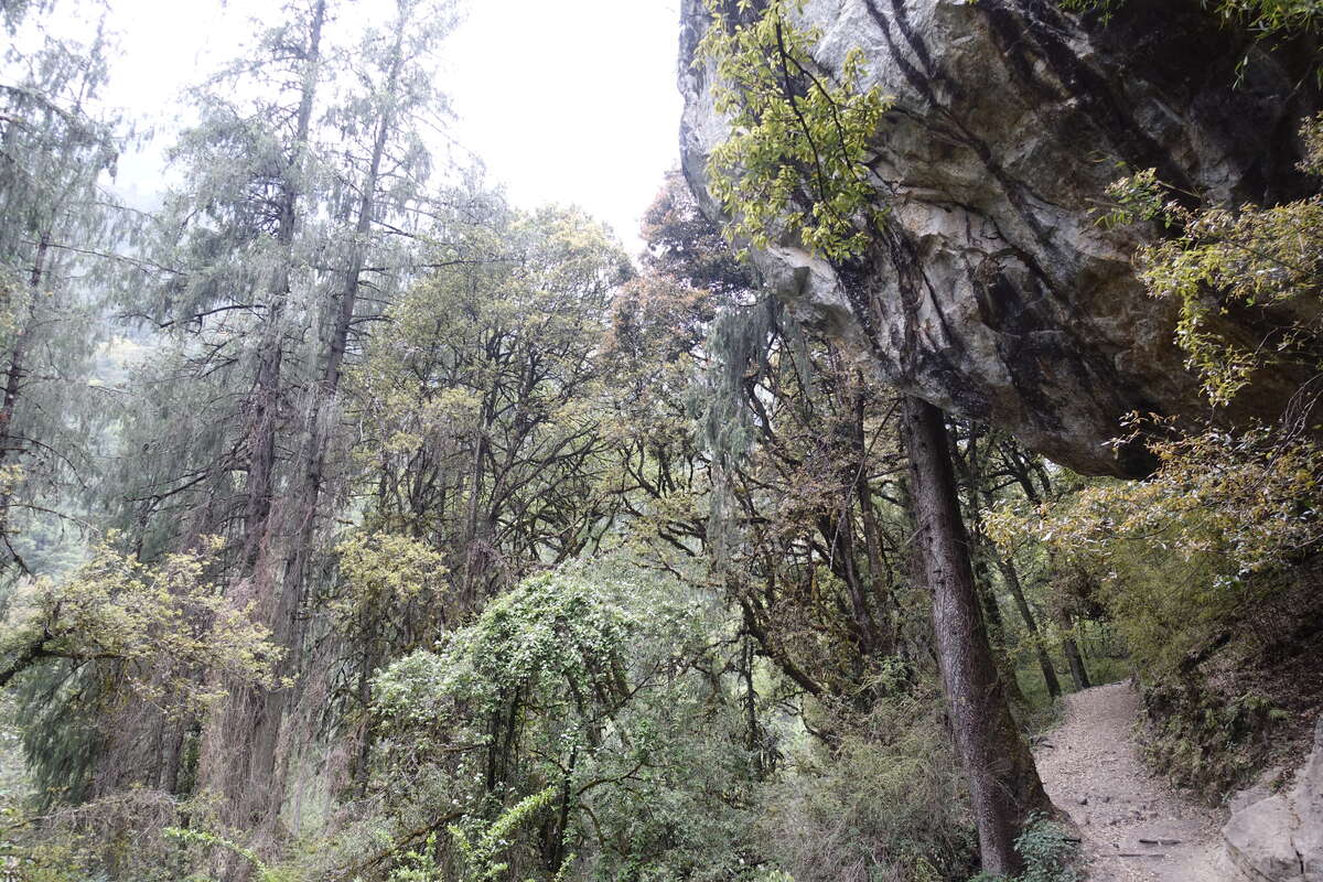 manaslu circuit