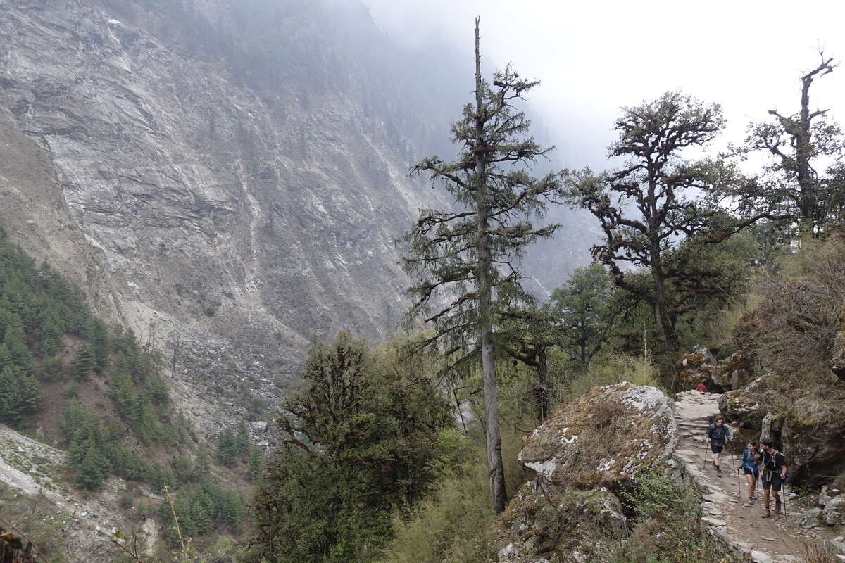 manaslu circuit