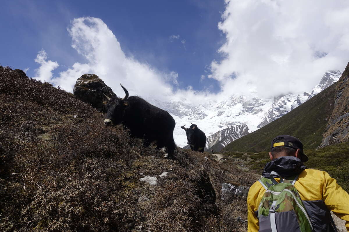 manaslu circuit