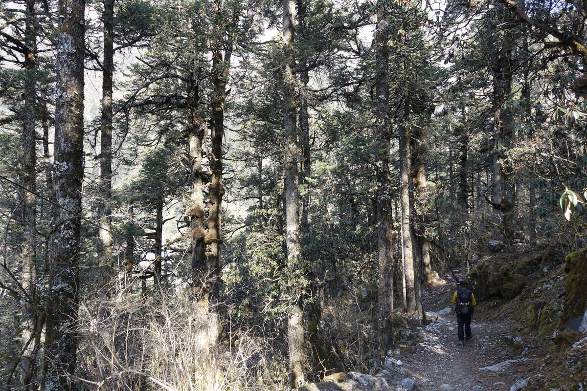 manaslu circuit