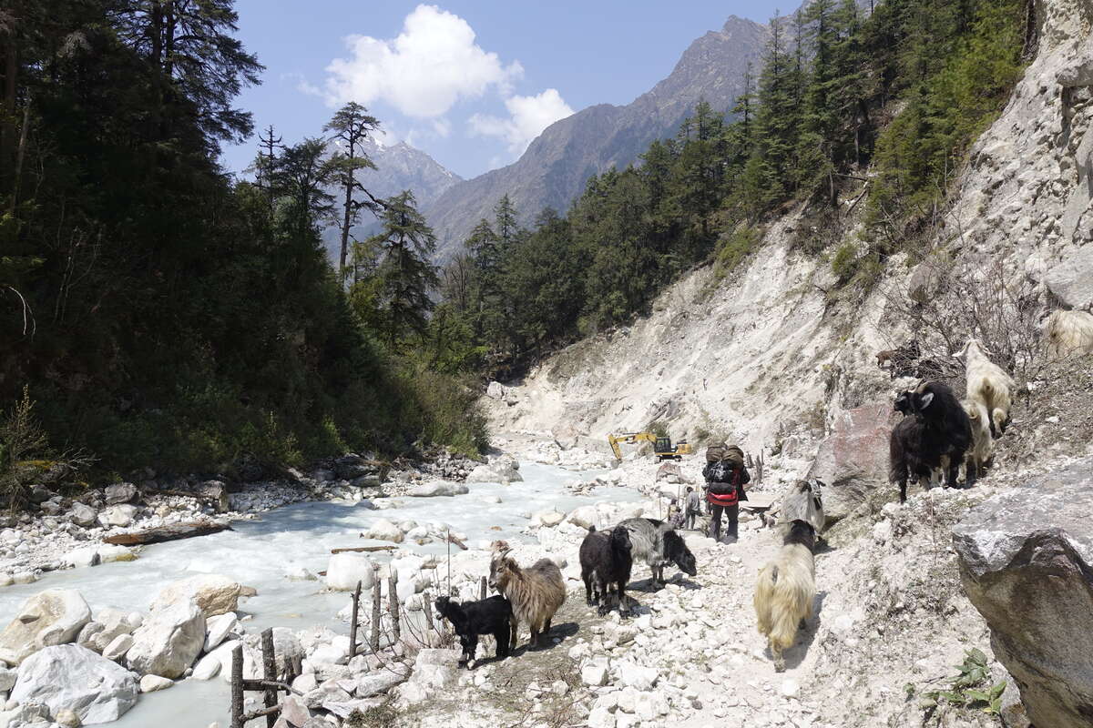 manaslu circuit