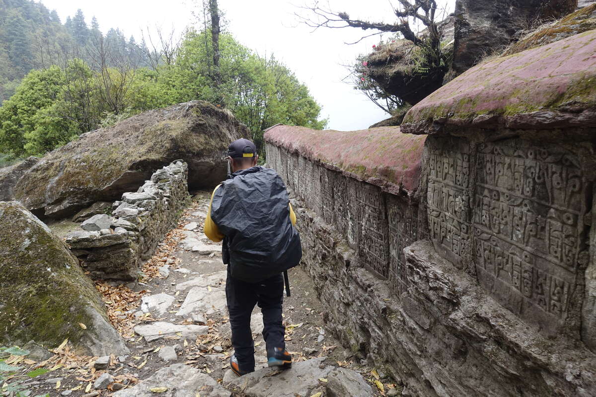 mera peak