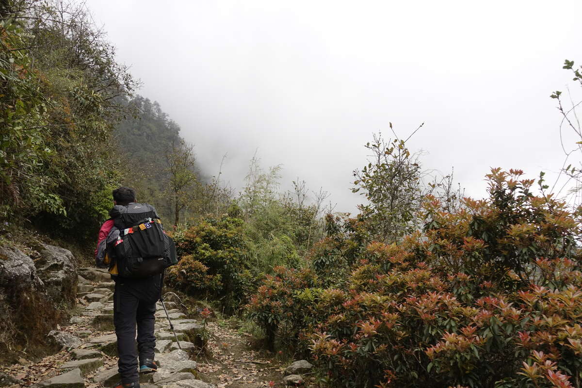 mera peak