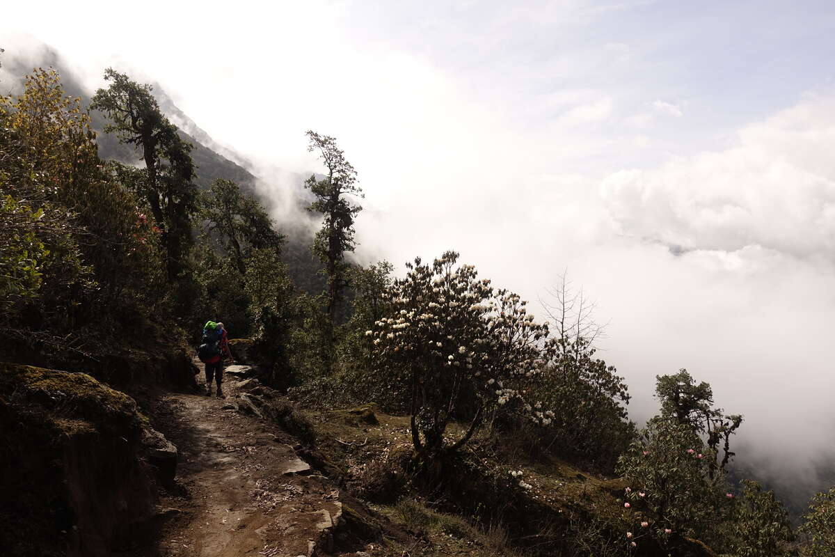 mera peak