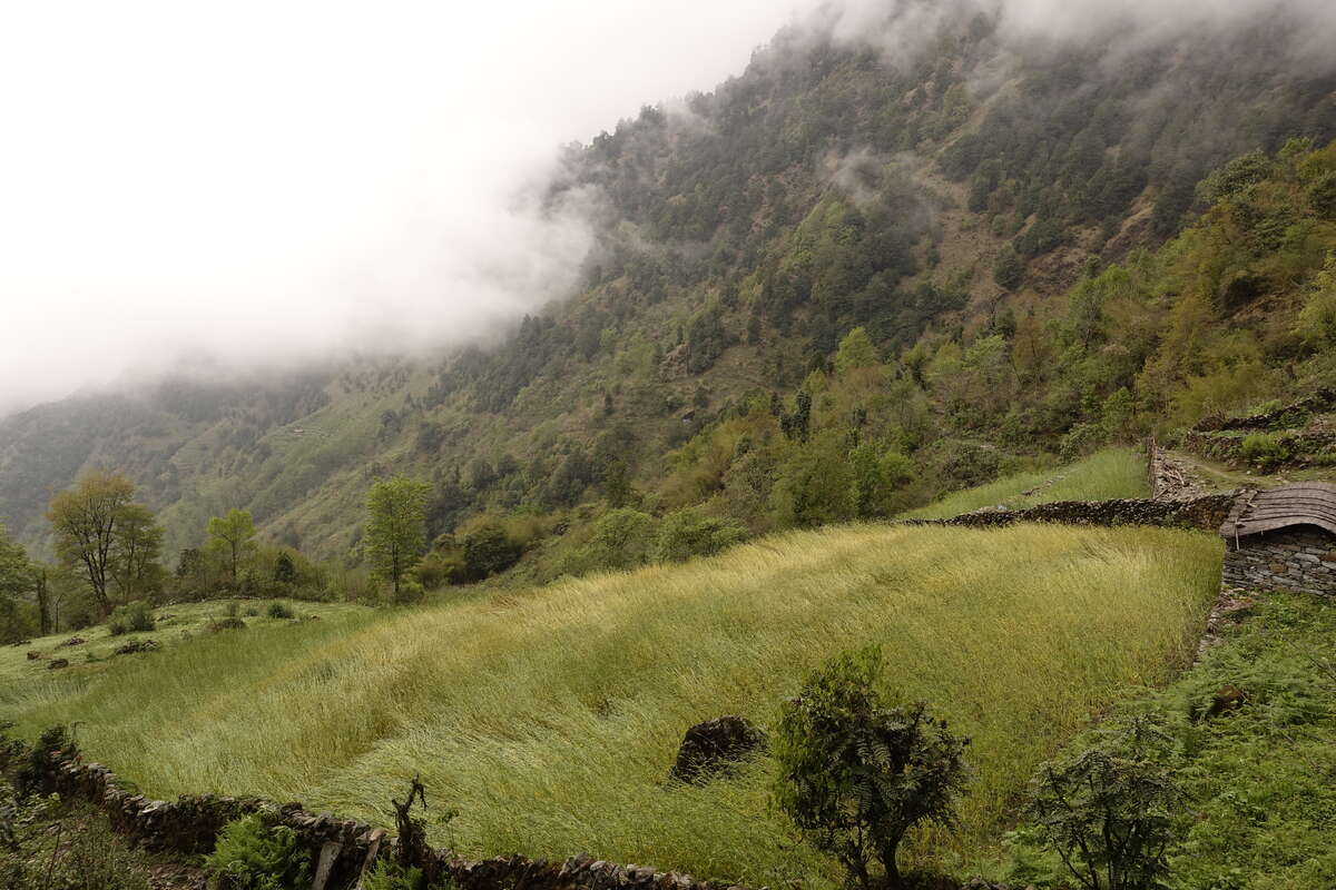 mera peak