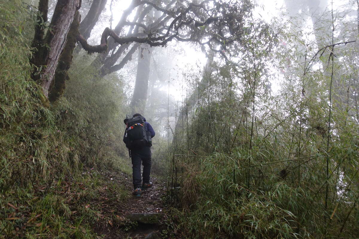 mera peak