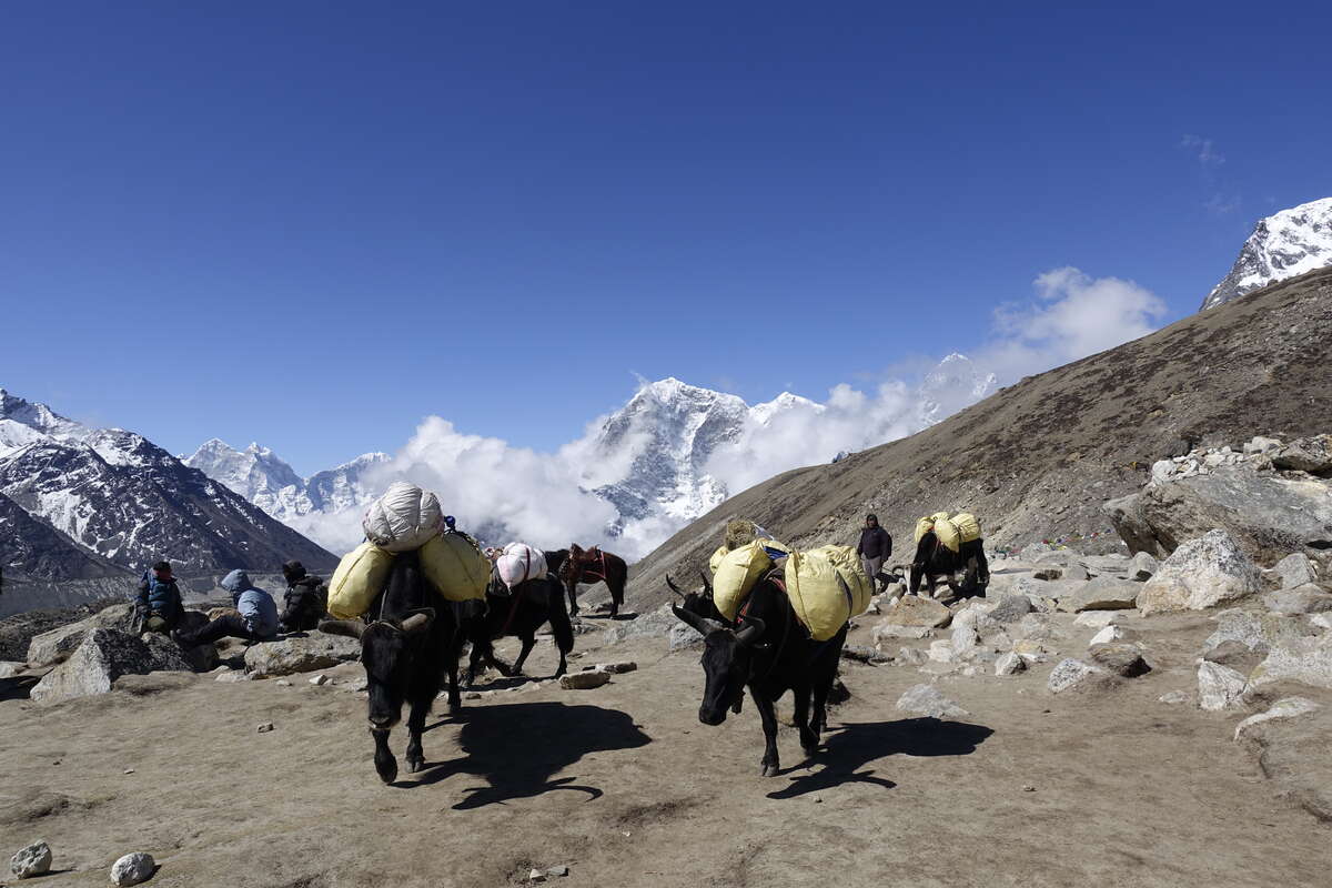 mera peak