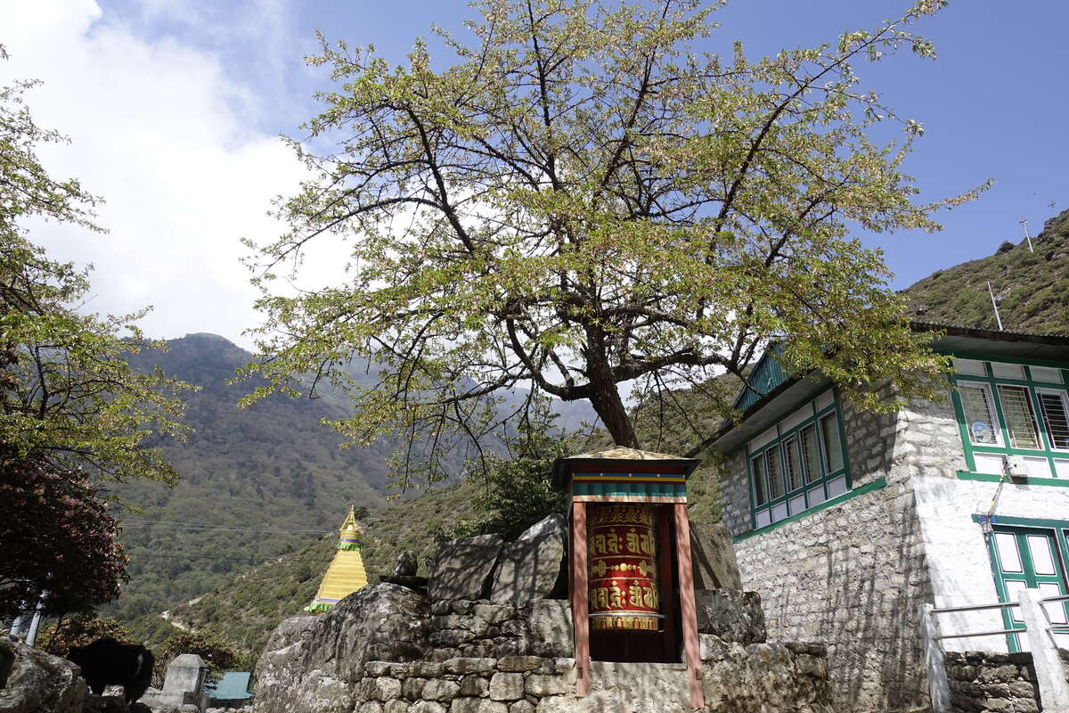mera peak