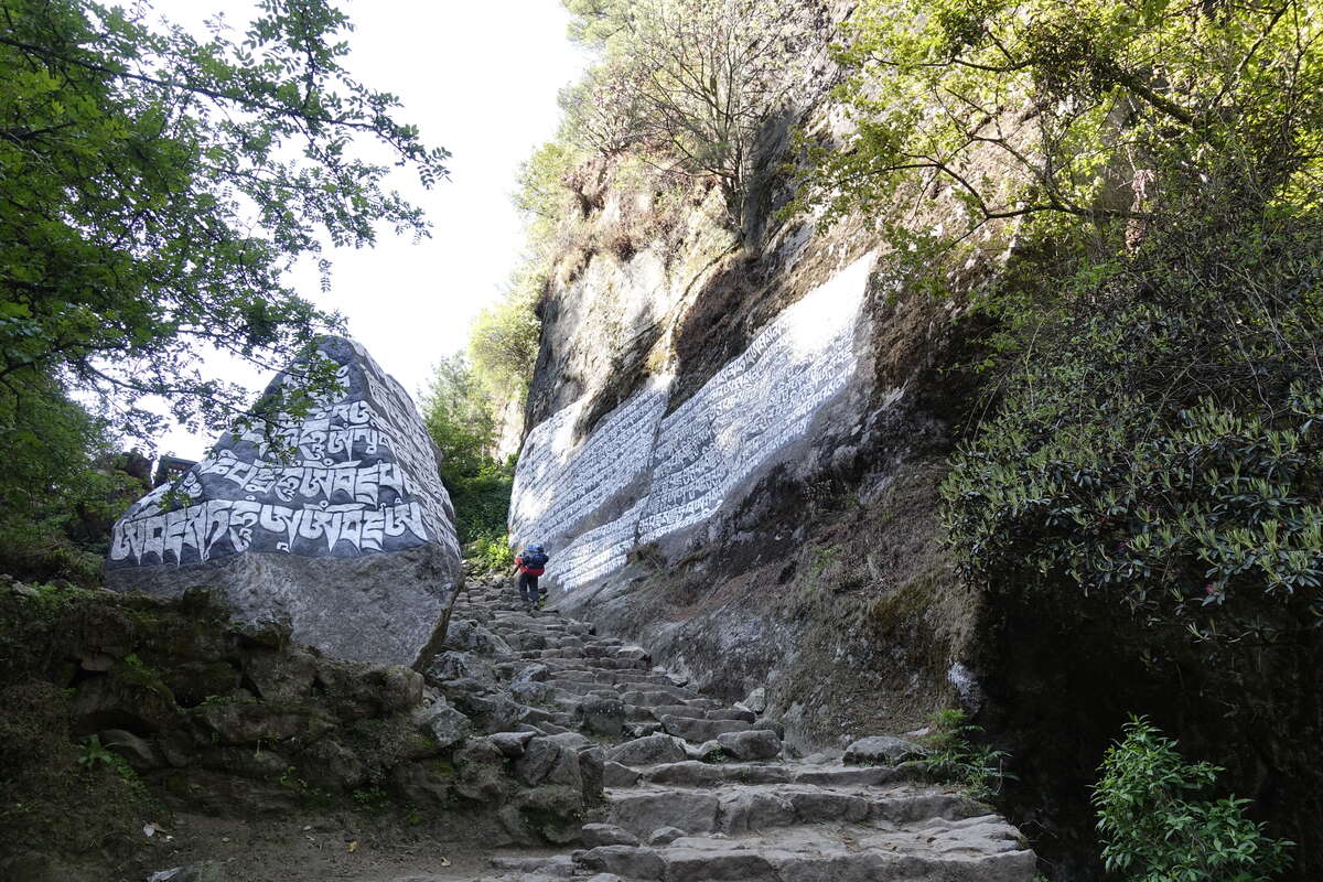mera peak