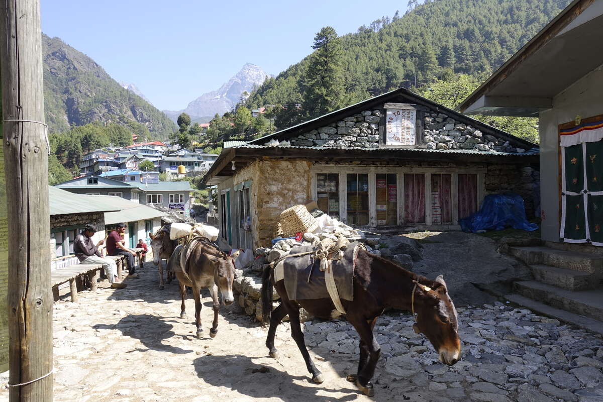 mera peak