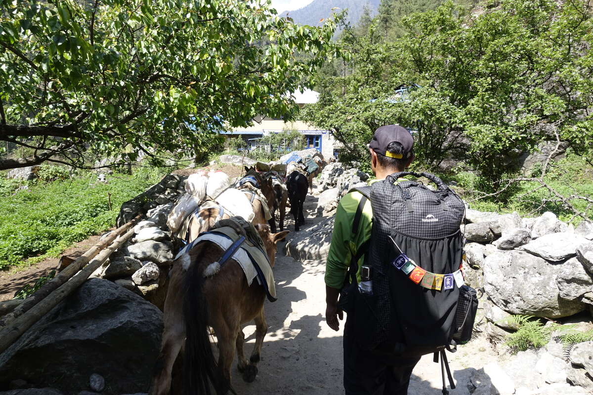 mera peak