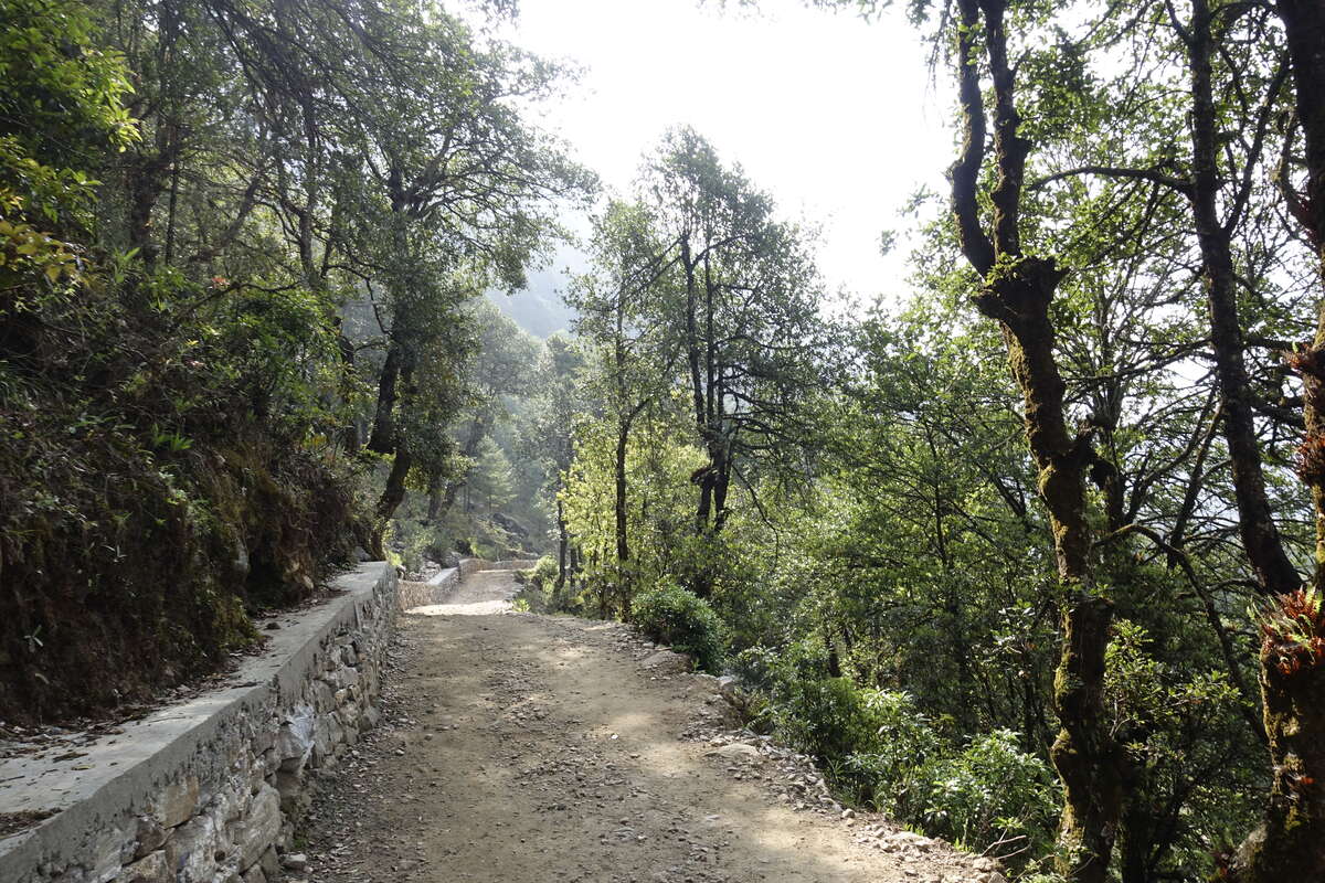 mera peak
