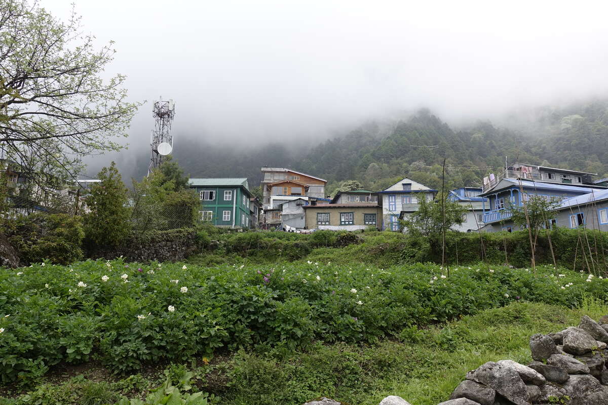 mera peak