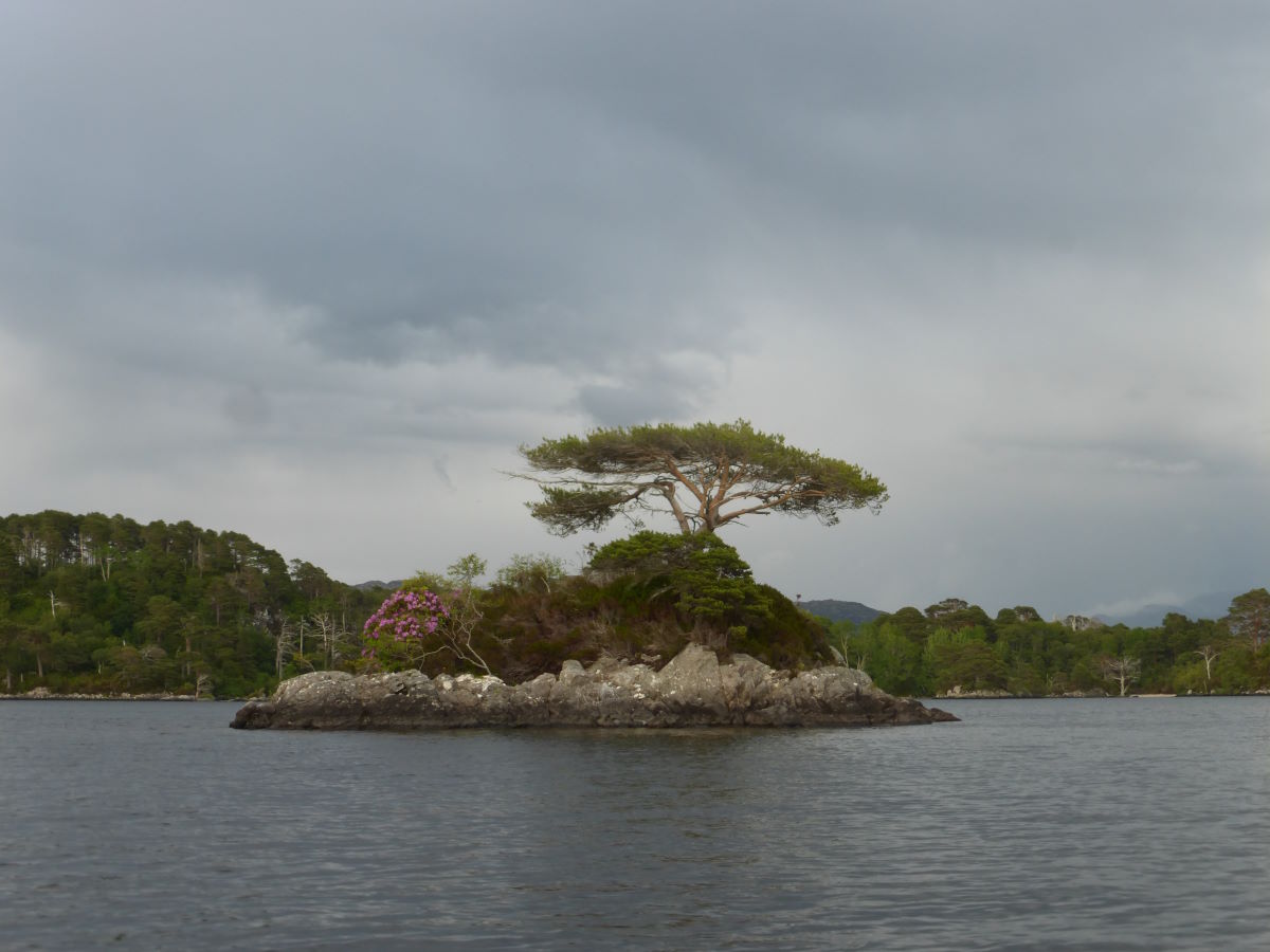 Loch Morar